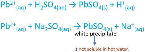 Pb2+ + H2SO4 reaction